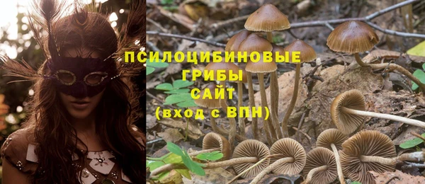 метадон Заволжье
