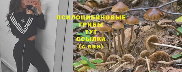 метадон Заволжье