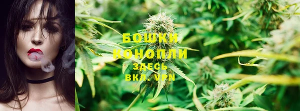 эйфоретик Заводоуковск